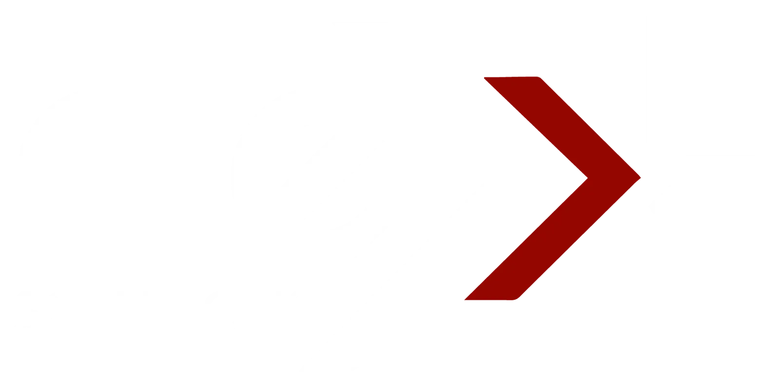Next Solution Logo